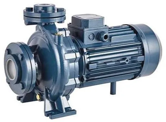 Моноблочный насос PSTC 50-125/22 (N)