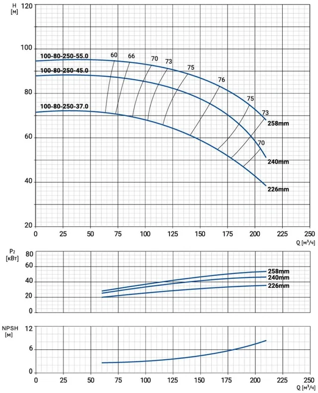 Моноблочный насос NBW 100-80-250-45.0/2-380-G-BQQE
