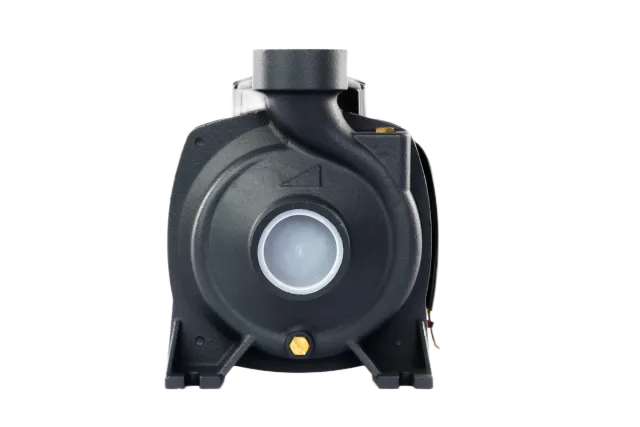 Центробежный поверхностный насос (консольный) CPM 1100D