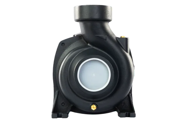Центробежный поверхностный насос (консольный) CPM 2200Q