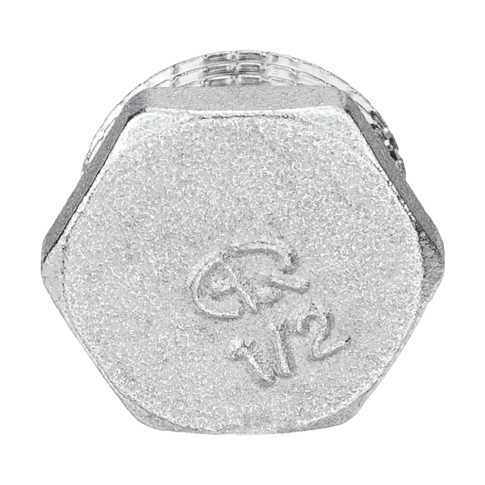 Заглушка 3/4'' нар (300/10)