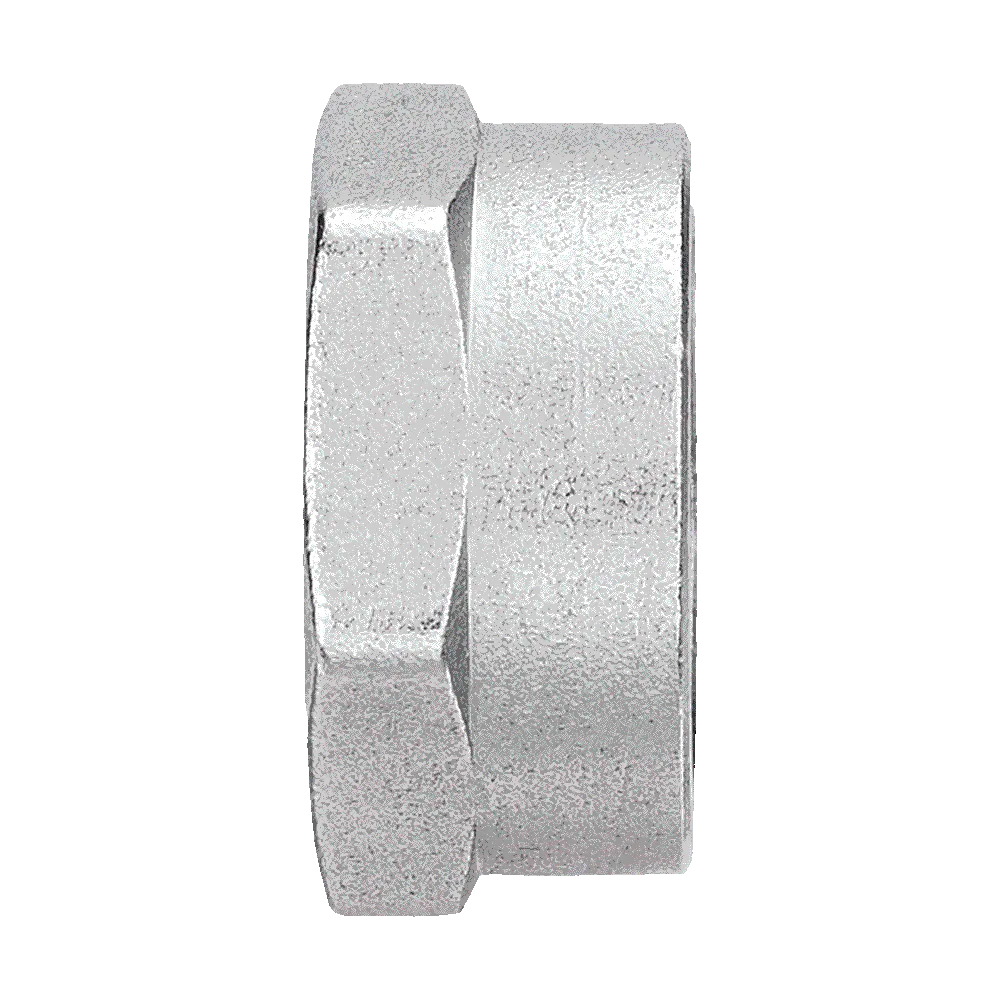 Заглушка 1 1/2" вн (80/5)