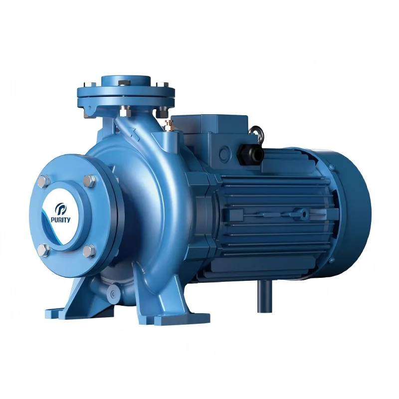 Моноблочный насос PSTC 50-125/22 (N)