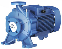 Консольно-моноблочный фланцевый насос PSTG 80-125/55 (N) Консольно-моноблочный фланцевый насос PSTG 80-125/55 (N)