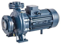 Моноблочный насос PSTC 50-125/22 (N)