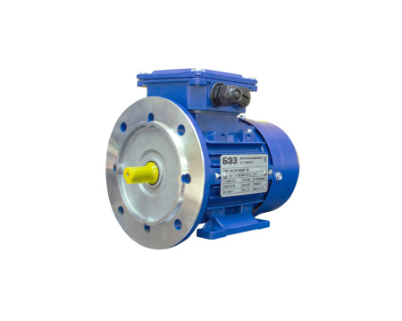 Электродвигатель АИP 132M8 IM1081